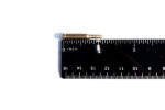 50_Ruler.jpg Product image: 50_Ruler.jpg
