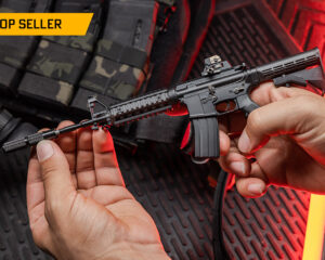 Product image: MiniatureAR15Goatgunsmodel.jpg